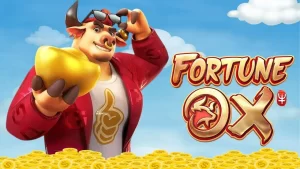 boi da fortuna